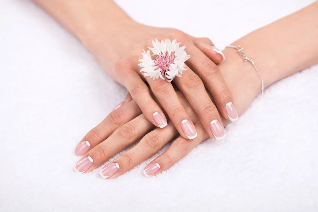 Windy Autumn Nail Shield Plan