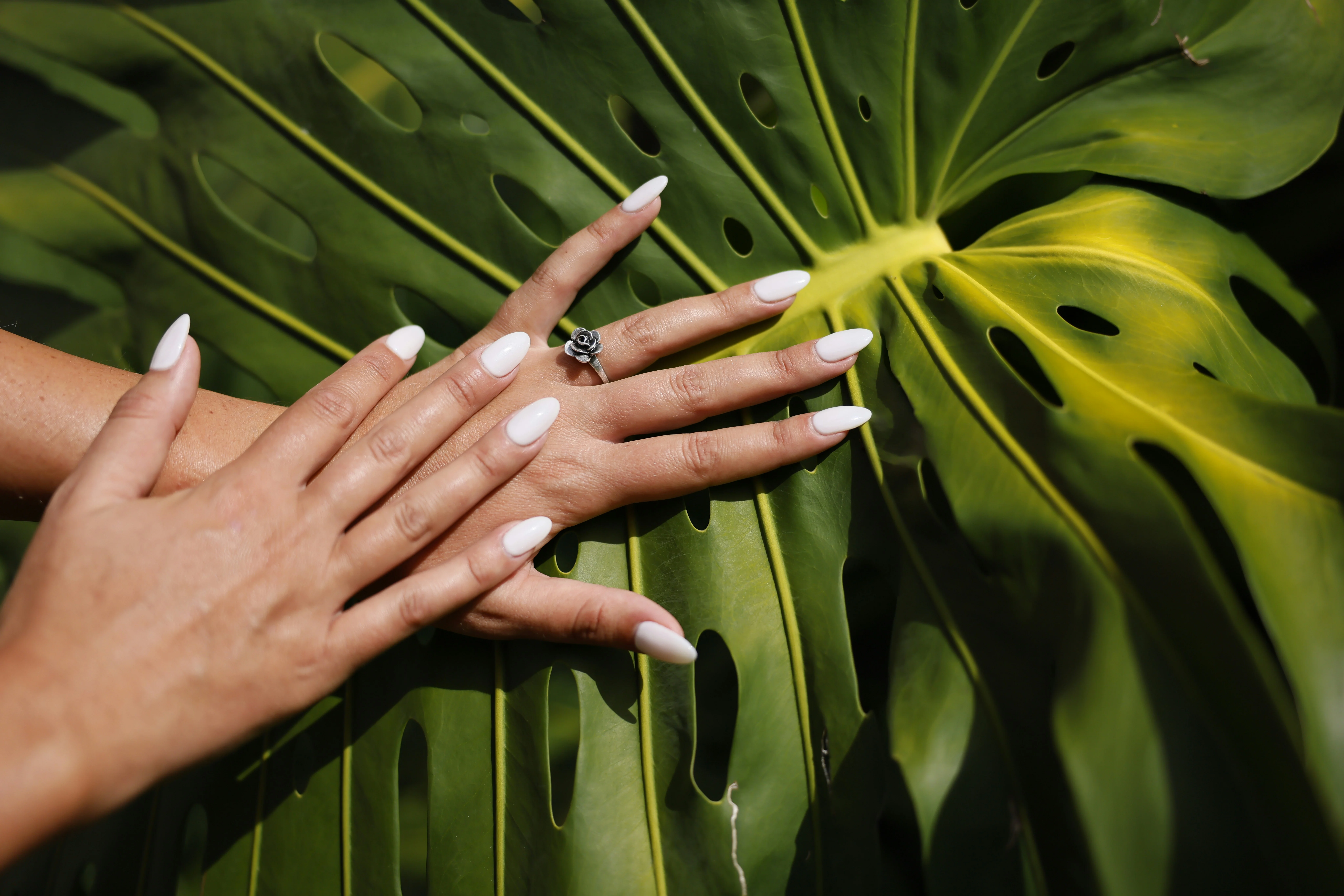 Gentle Nail Recovery & Spa Plan