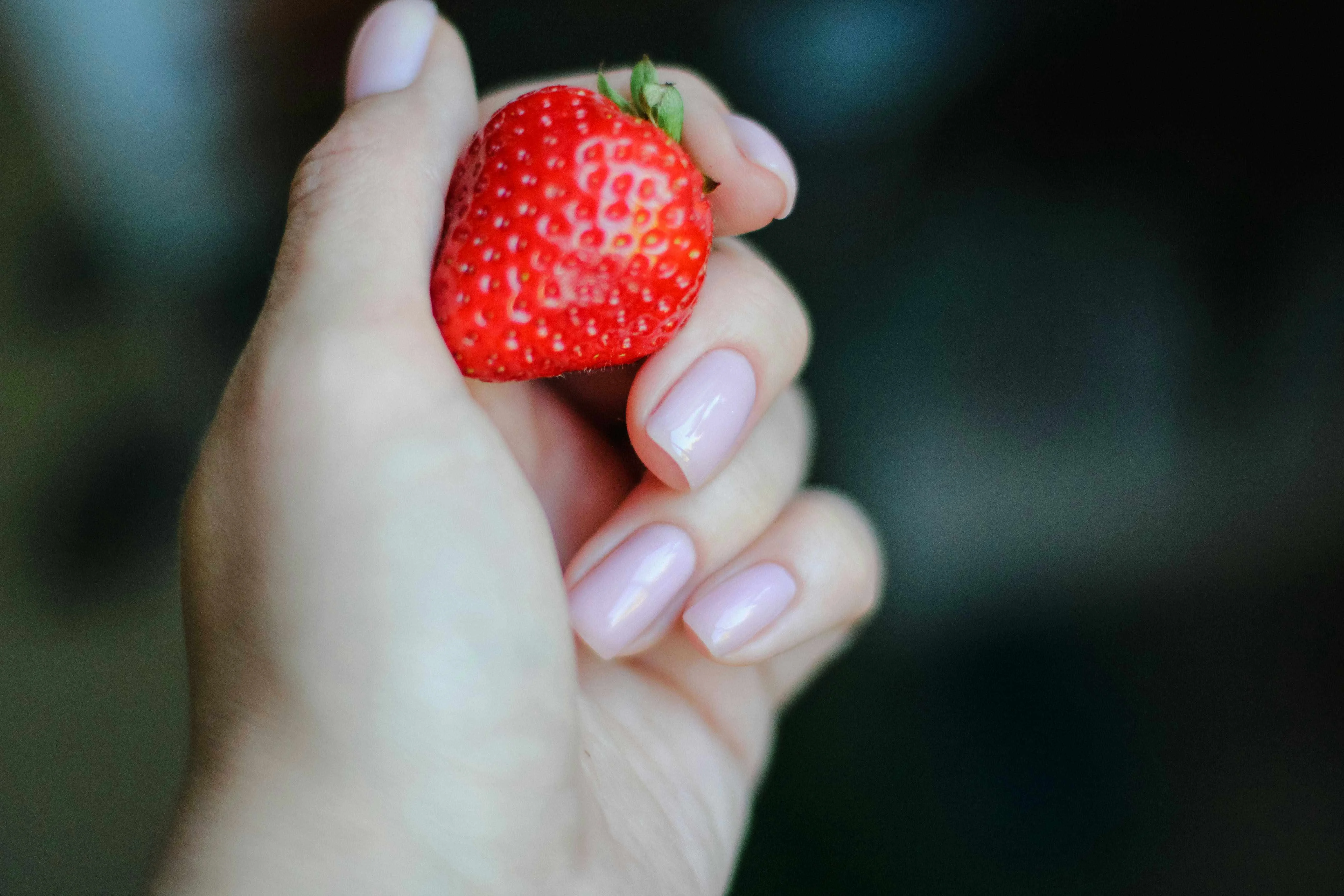 Seasonal Nail Color Planner