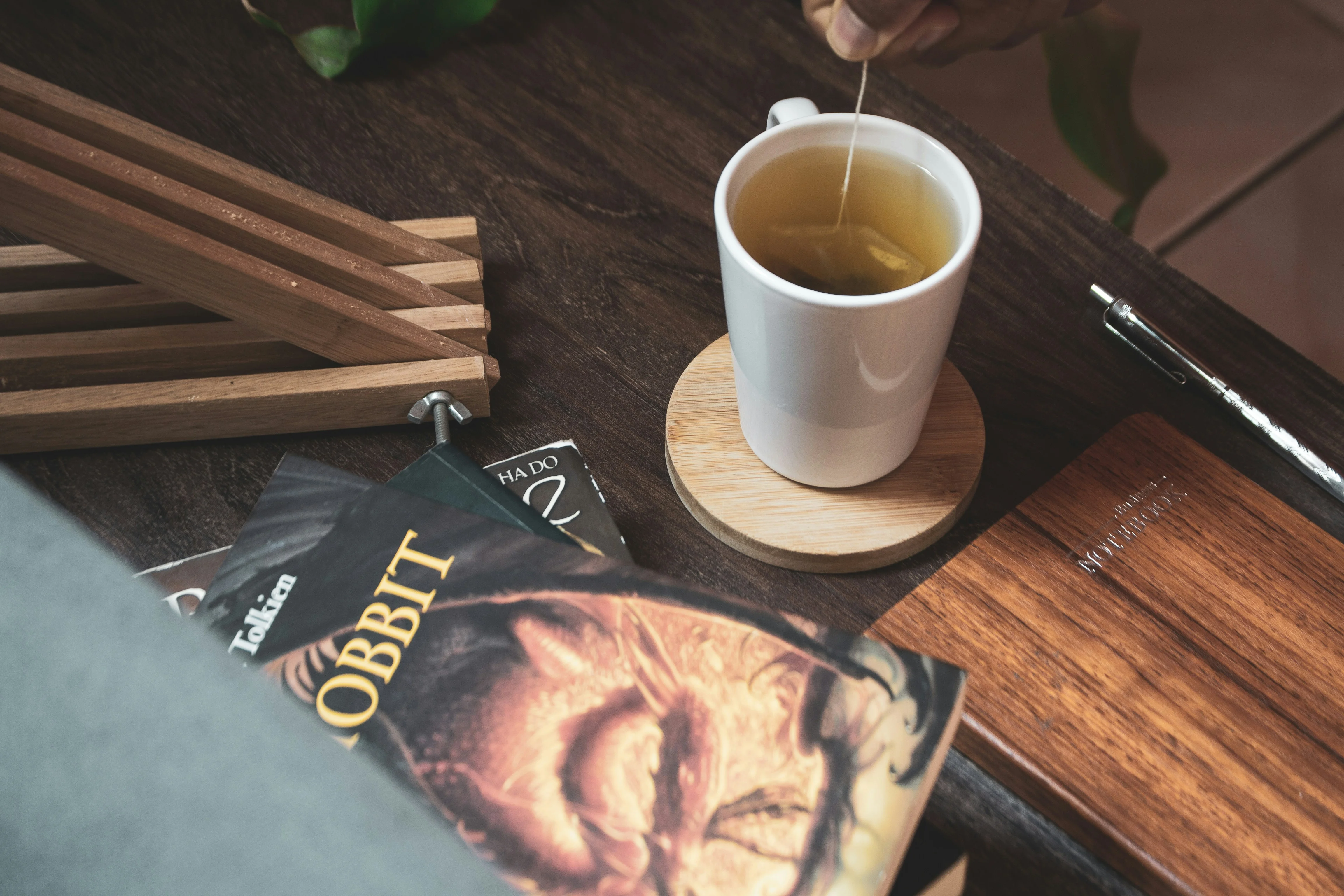 Daily Wellness Check-In