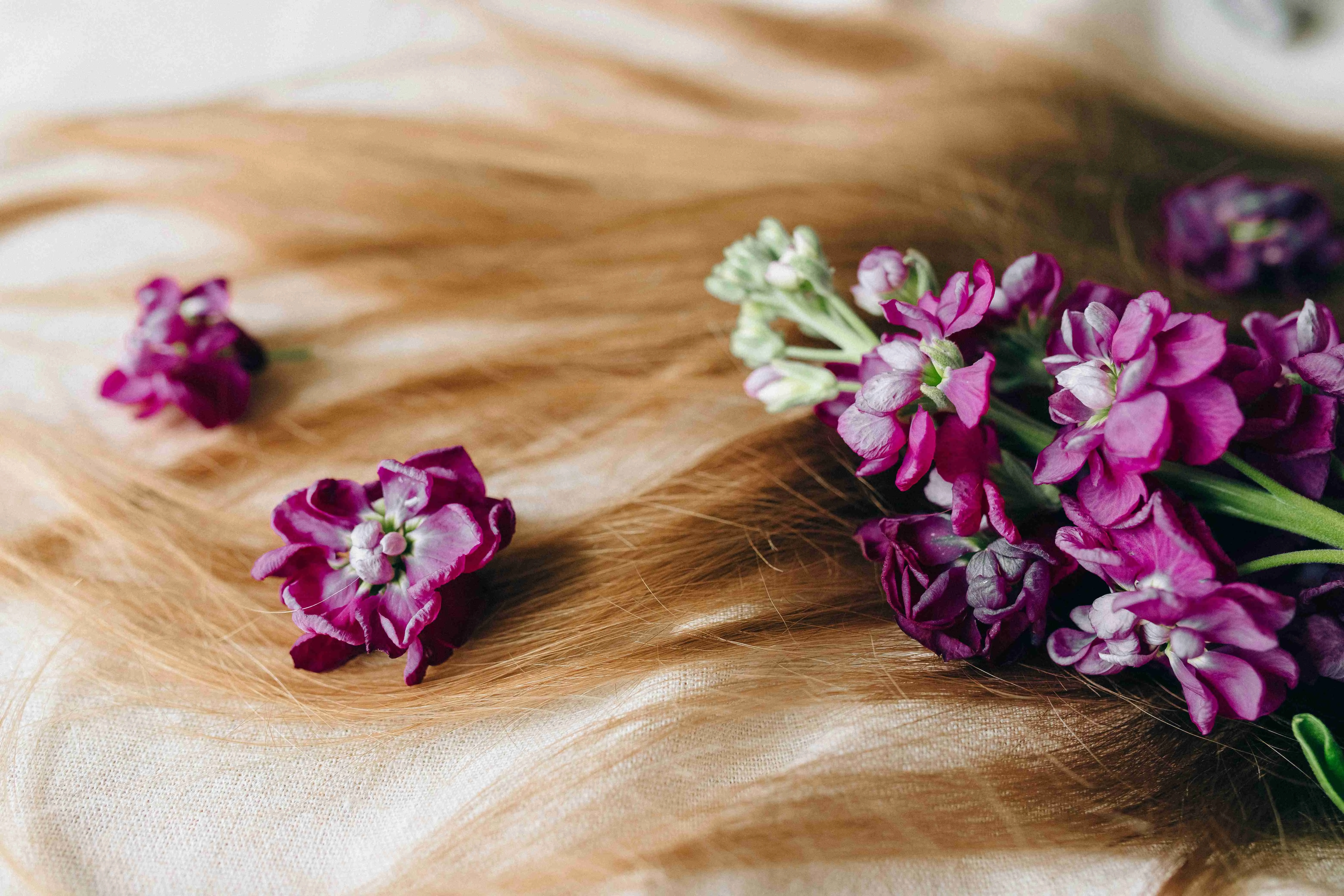 Beginner Scalp Care Tips