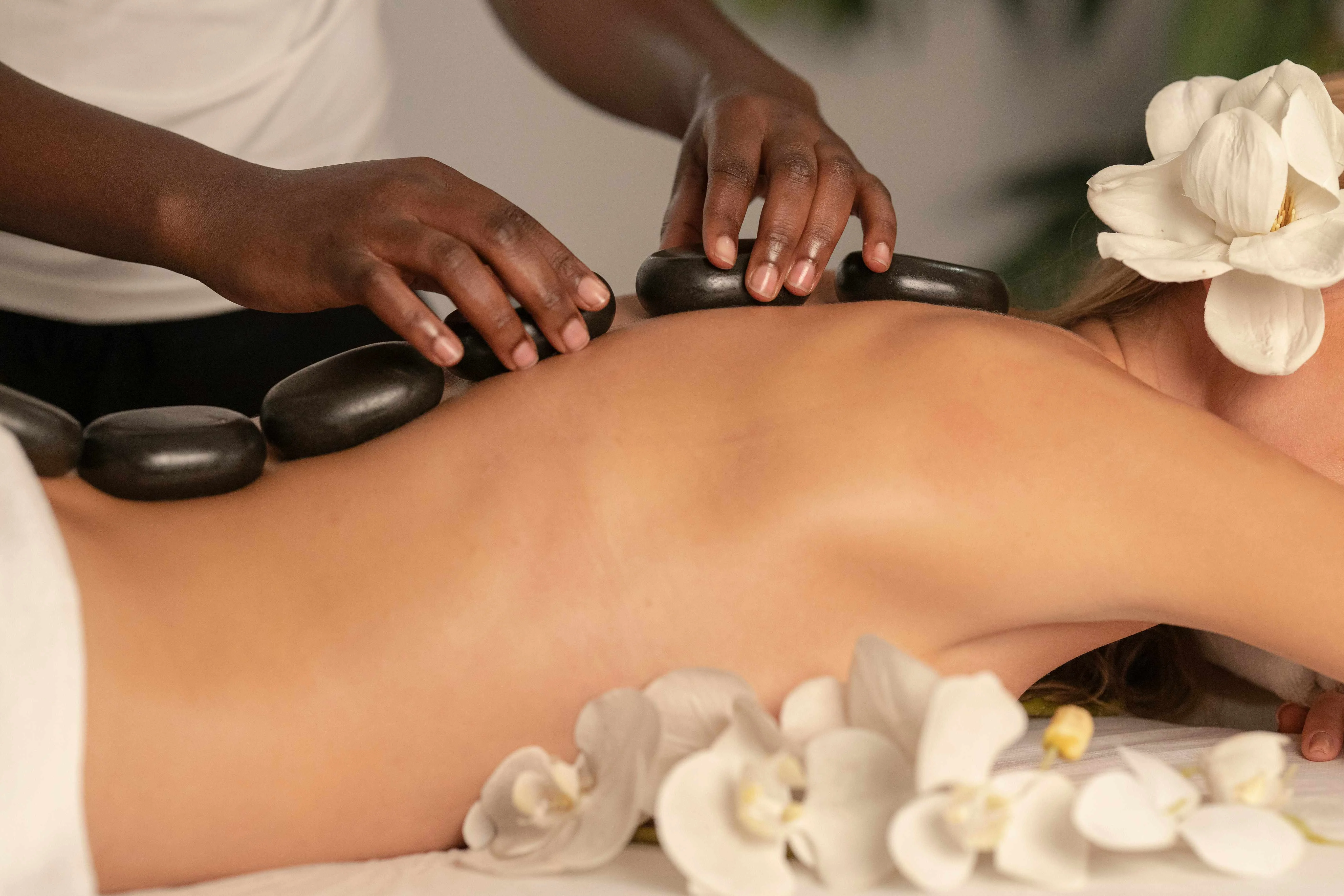 Jojoba Oil Face & Hair Benefits